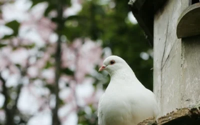 La ayuda del Espíritu Santo